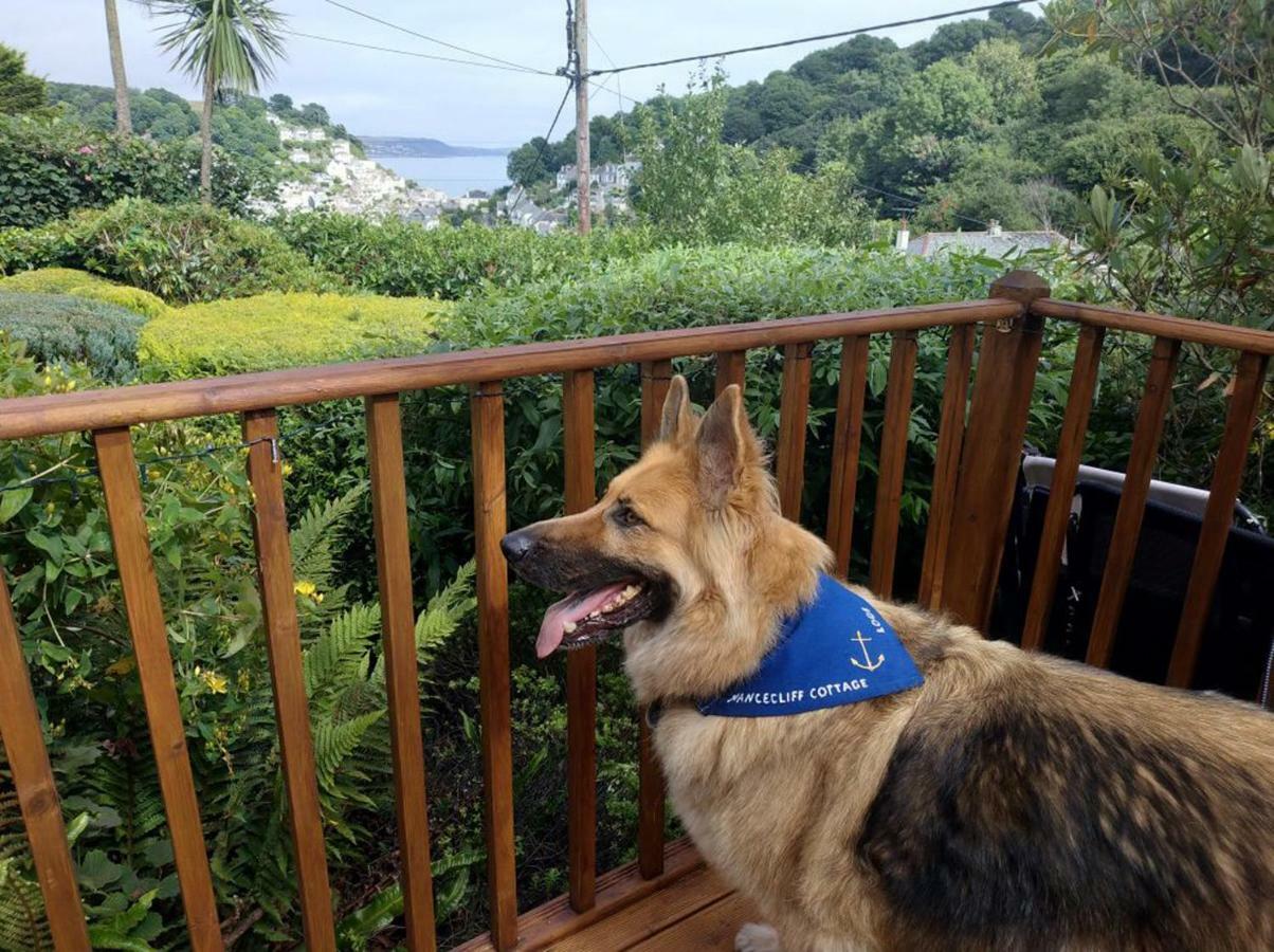 Dog Friendly Nancecliff Cottages Looe Dış mekan fotoğraf