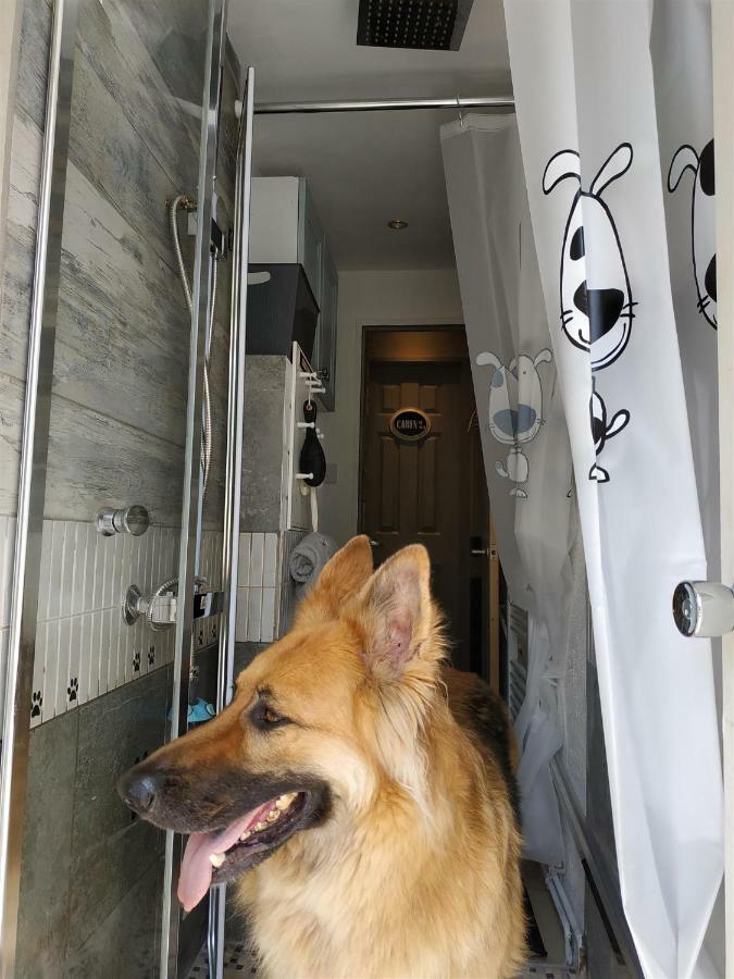 Dog Friendly Nancecliff Cottages Looe Dış mekan fotoğraf