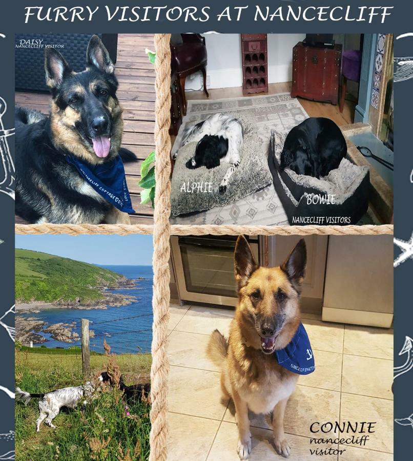Dog Friendly Nancecliff Cottages Looe Dış mekan fotoğraf