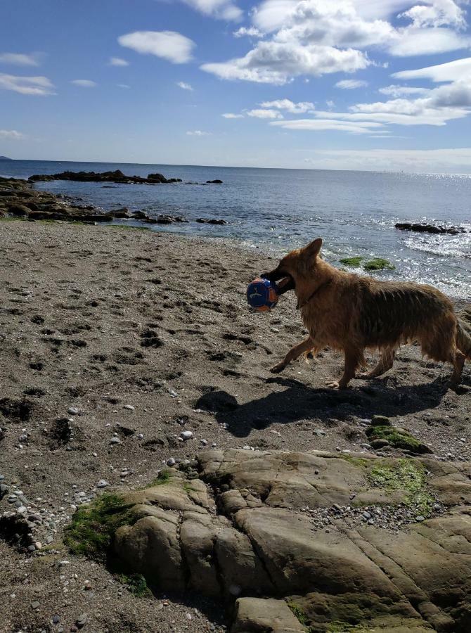 Dog Friendly Nancecliff Cottages Looe Dış mekan fotoğraf